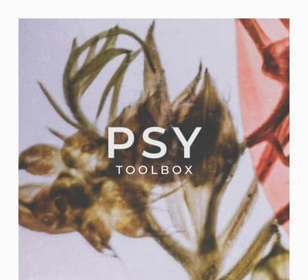 Zenhiser Psy Toolbox WAV